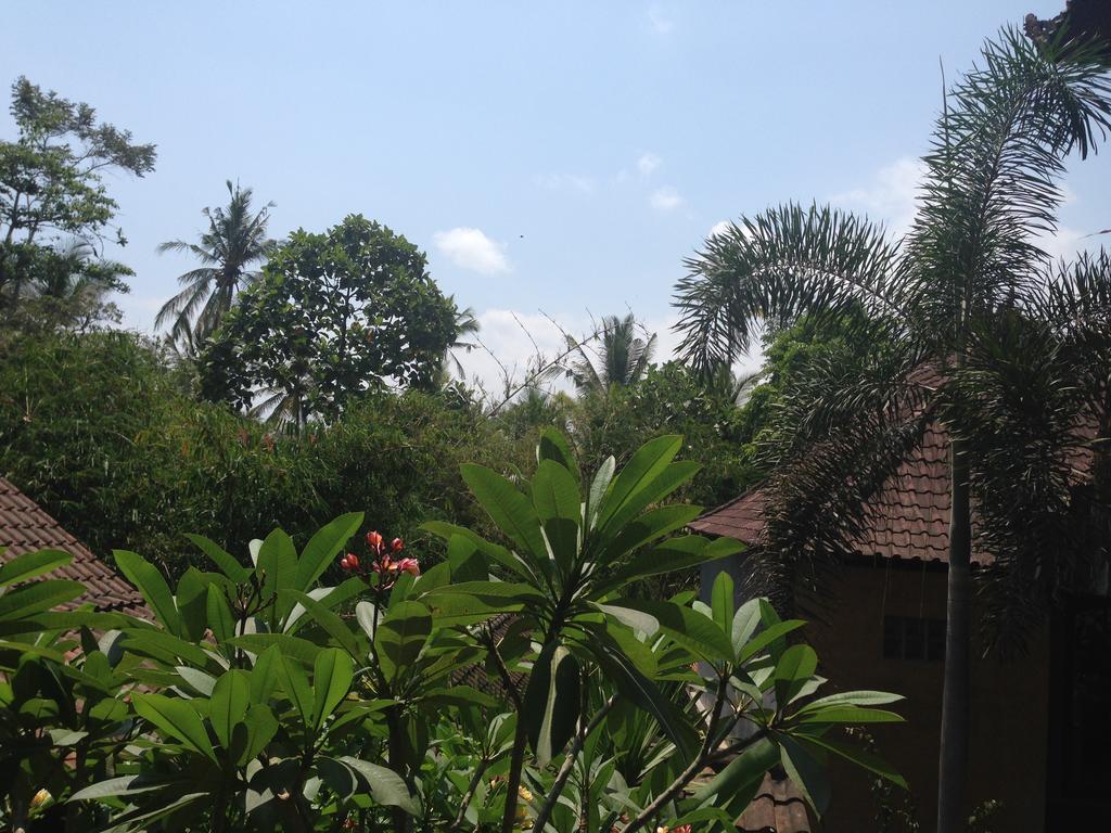 Ubud Rooms B&B Zimmer foto